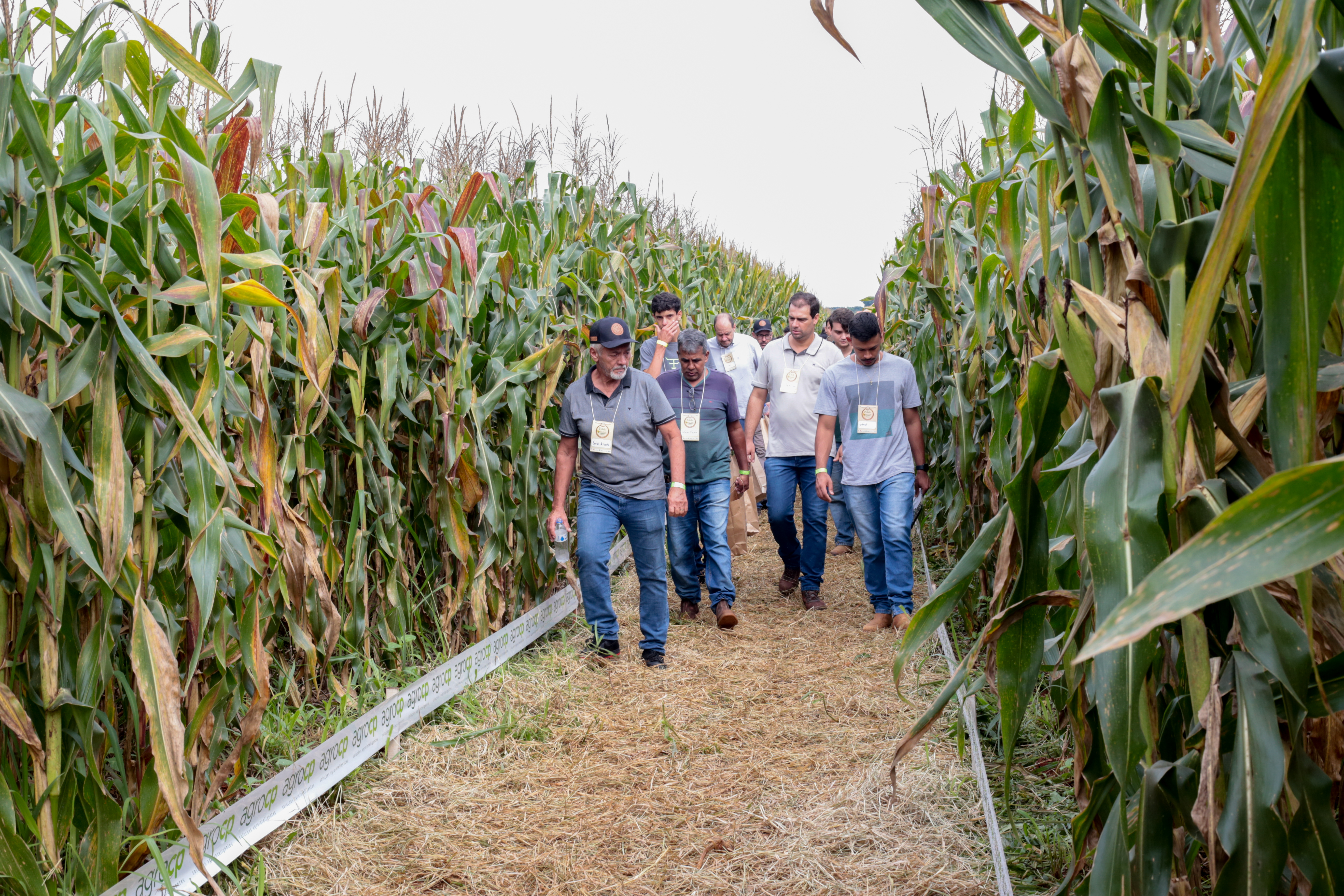 2° Dia de Campo - Foto 43